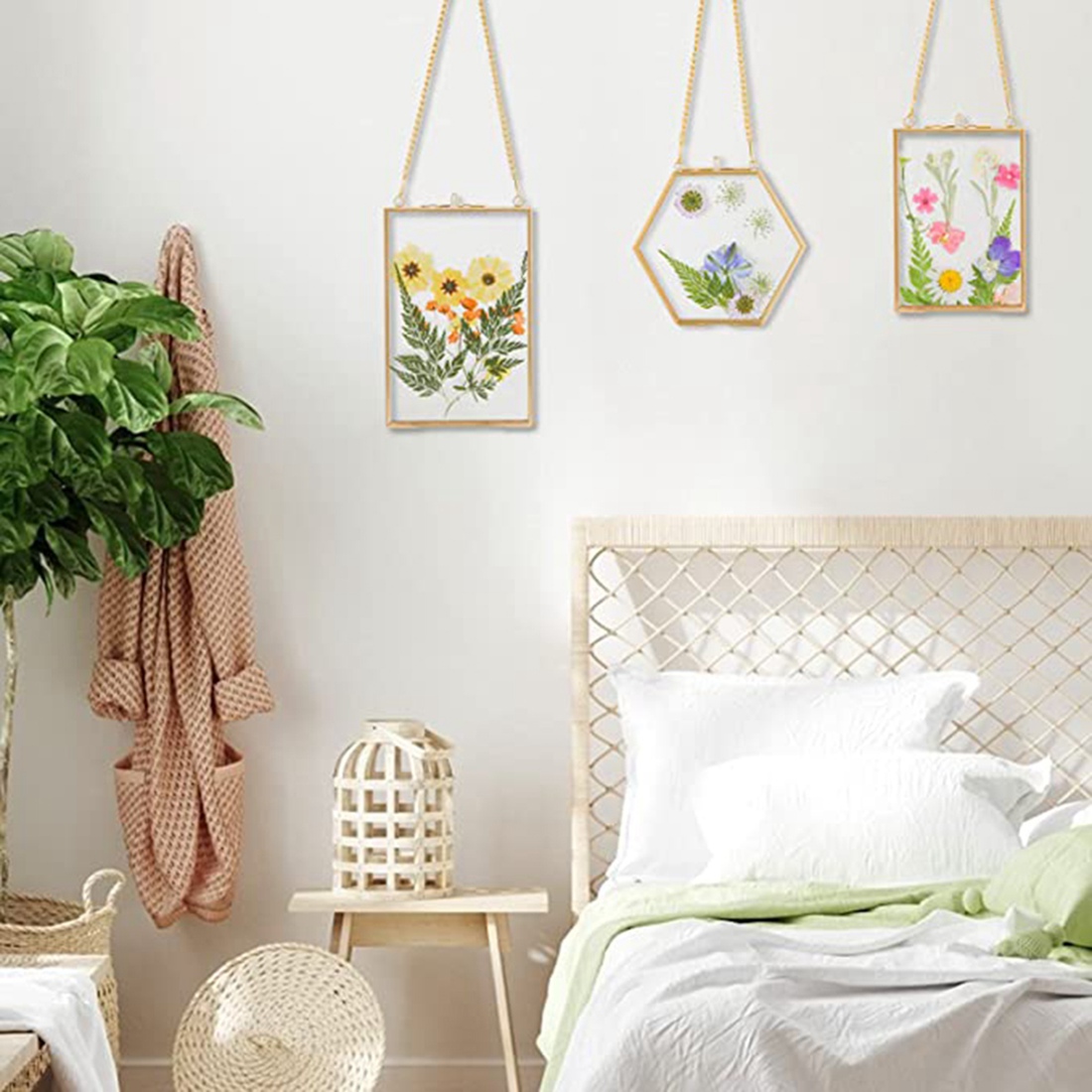 Kitchen Appliances Pictures - Cornici in Vetro per Fiori Pressati