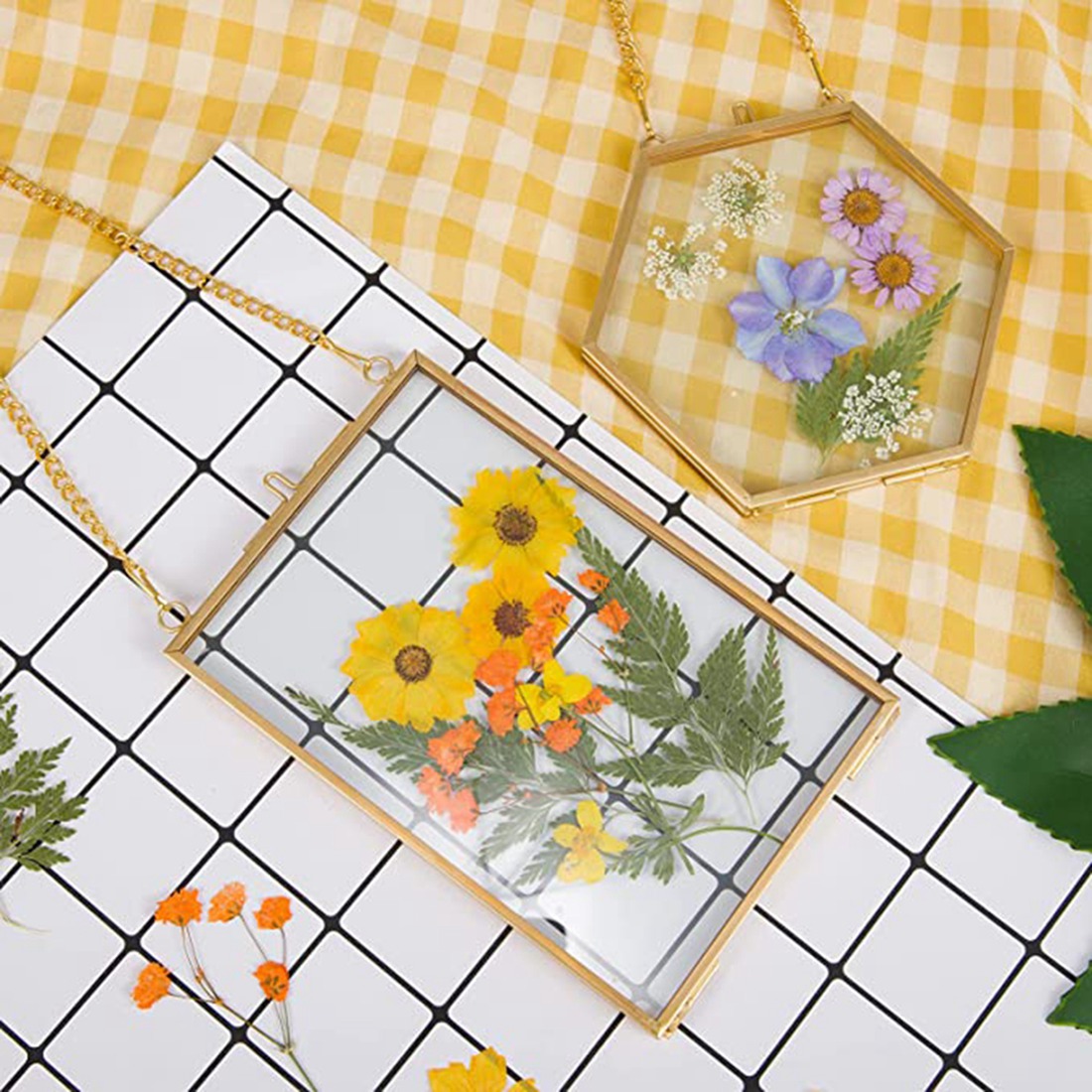 Cornici in Vetro per Fiori Pre - Kitchen Appliances Pictures recensione e prezzo